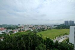 The Skywoods (D23), Condominium #556519591